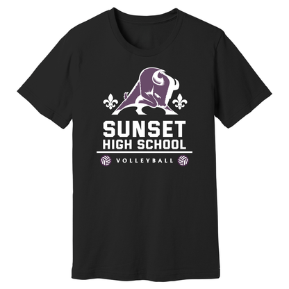Dallas Sunset Volleyball - Big Bison T-Shirt