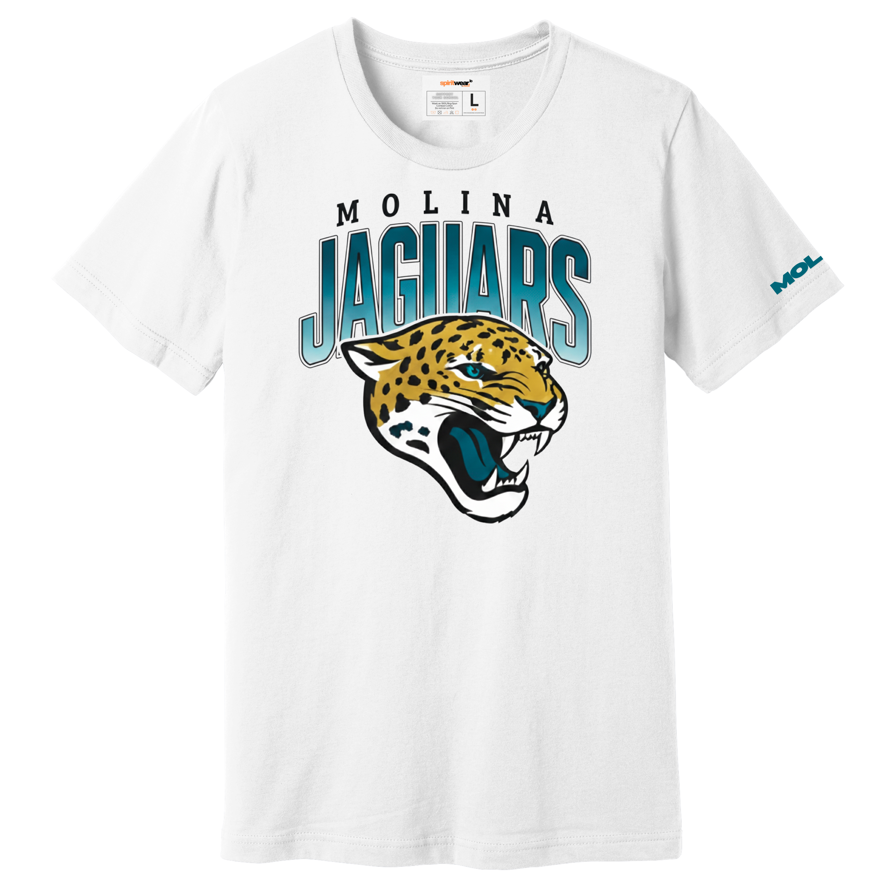 Dallas Molina High - Big Jags Tee