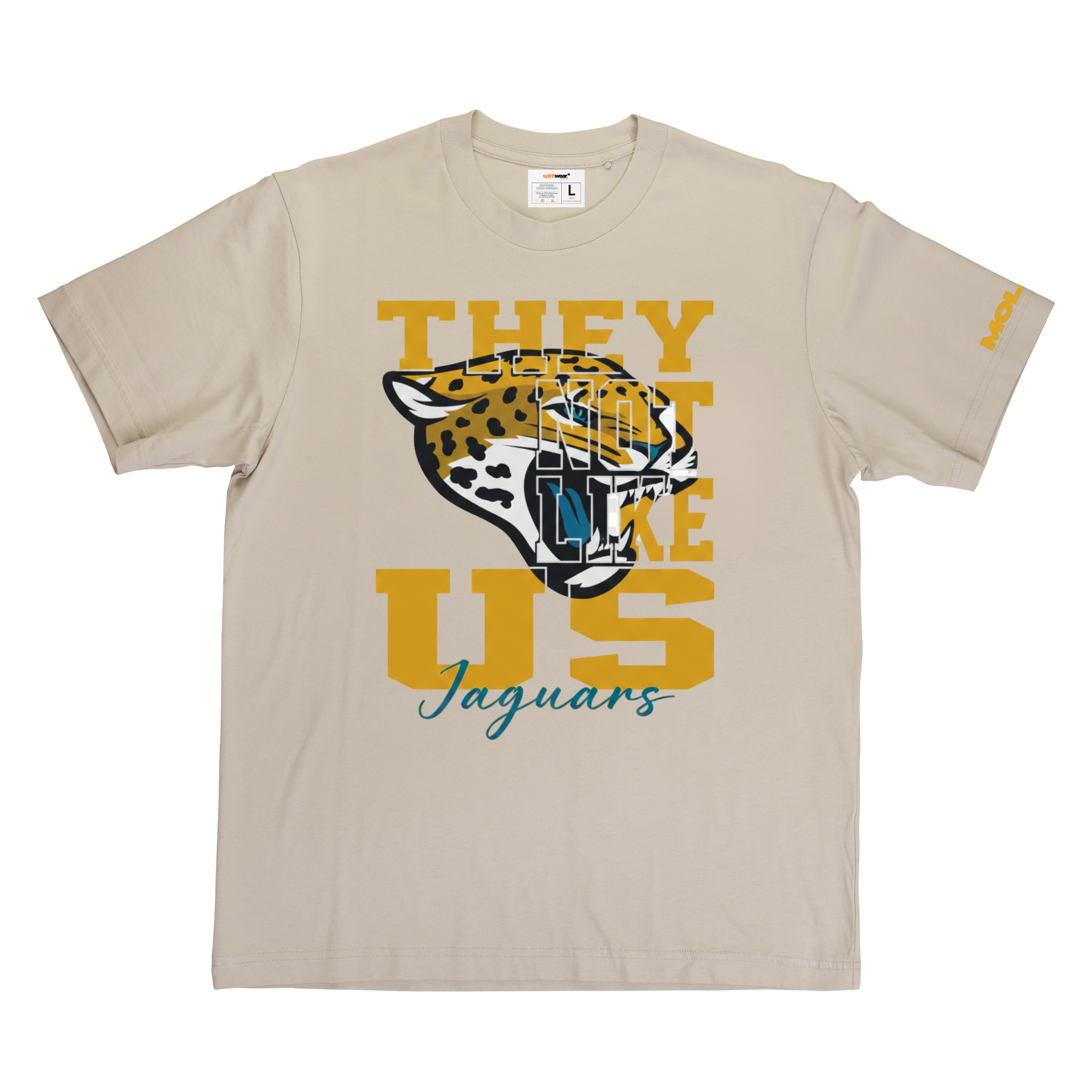 Dallas Molina High - Not Like Us Tee