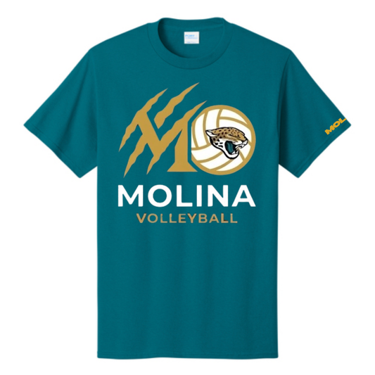 Dallas Molina Volleyball - Golden Spike Tee