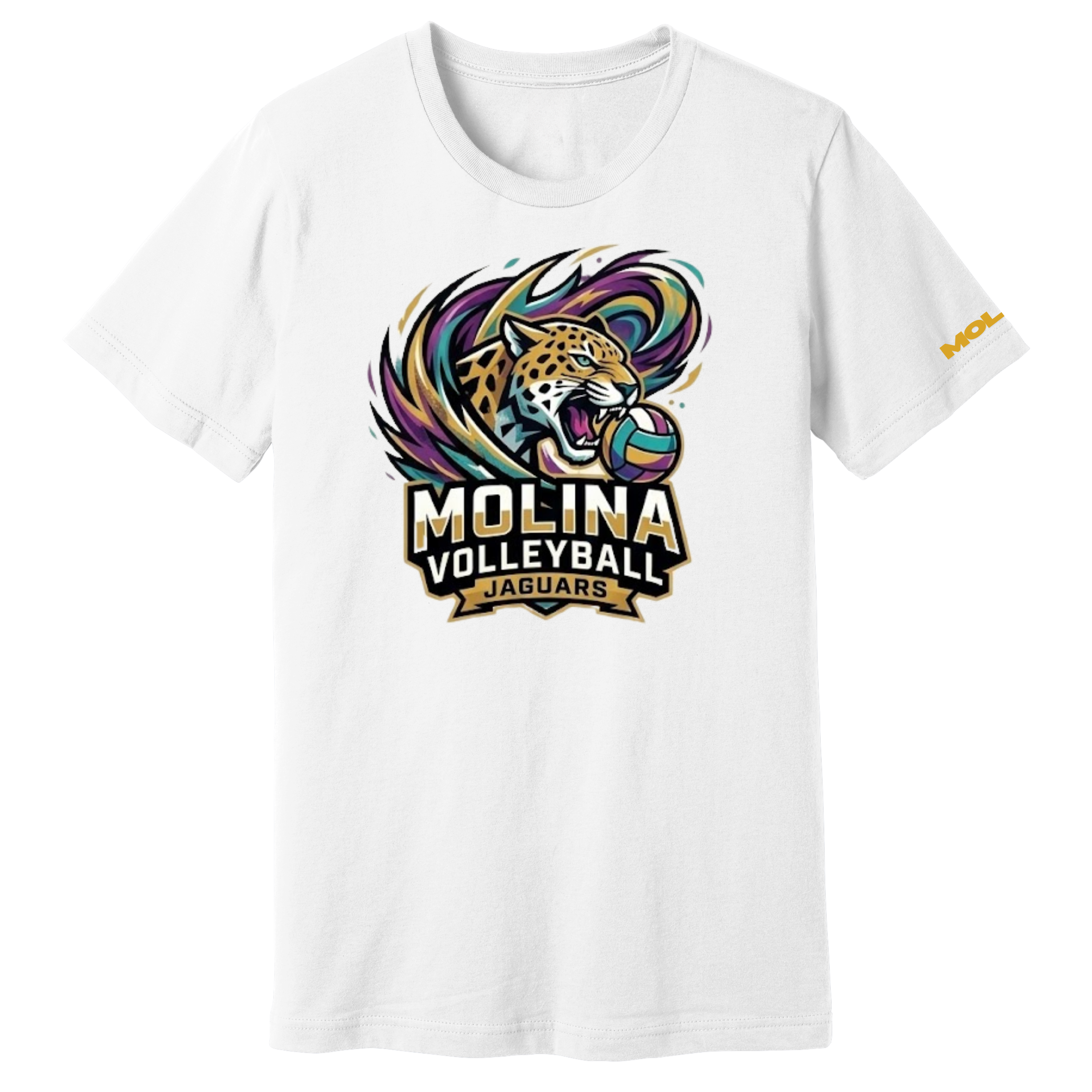 Dallas Molina Volleyball - Storm Tee