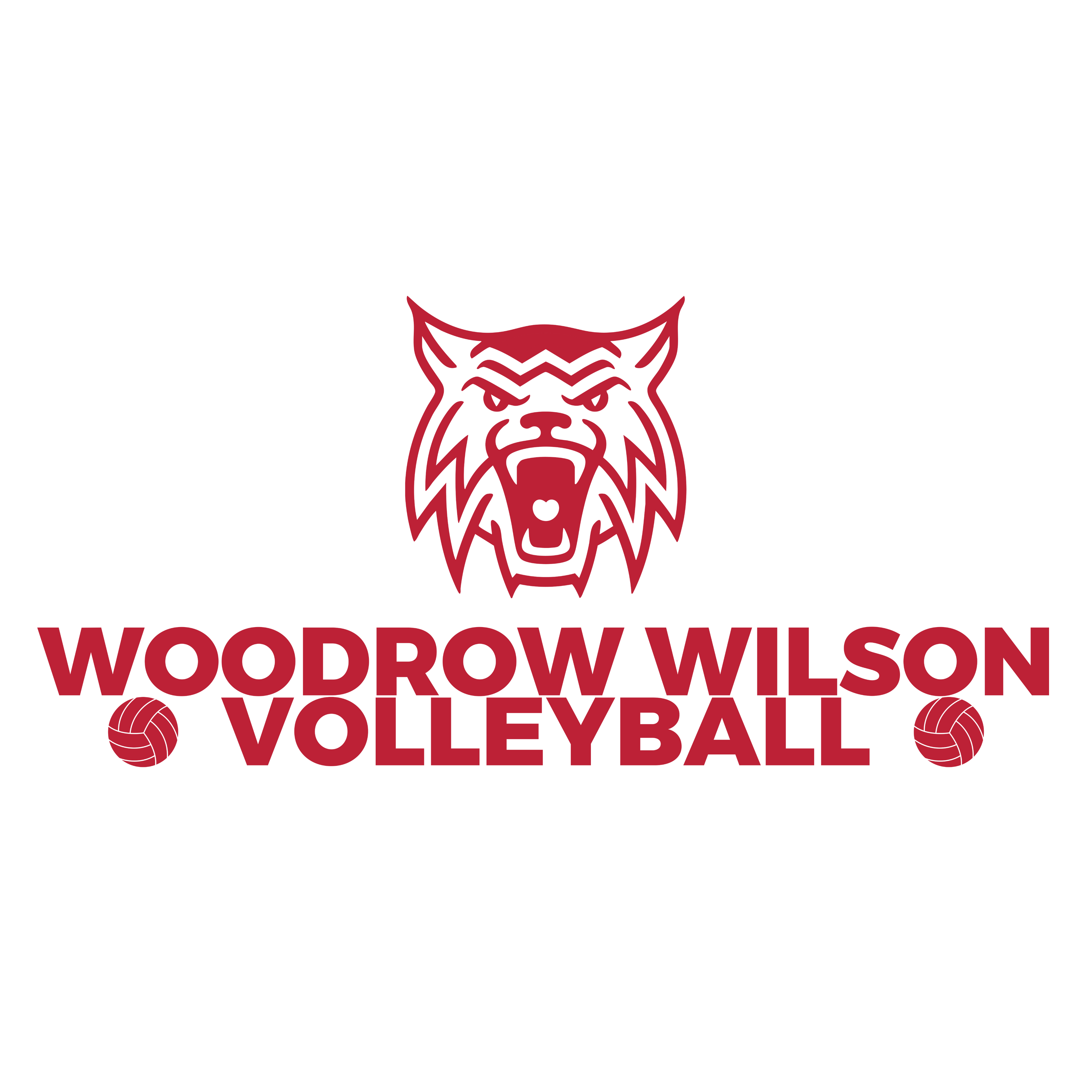 SpiritWear.io Premium Designs